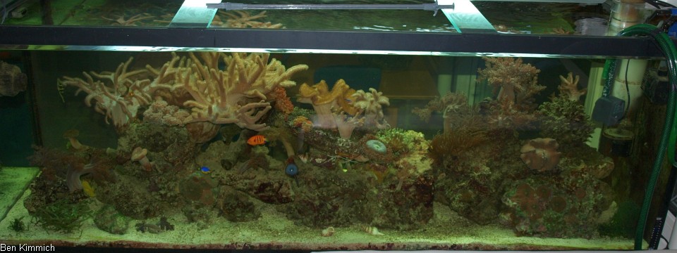 Stand 13.11.10
