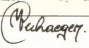 Marc_Verhaegen.jpg
