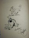 Groene_Splinter_10.jpg