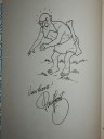 Groene_Splinter_5.jpg