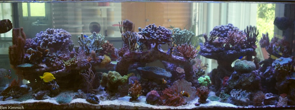 980 Liter Fischbecken