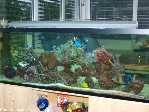 Stand 6.6.08