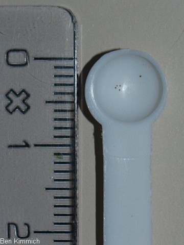 Abmesslffel fr Artemia auf 1Liter