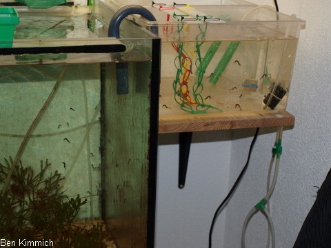 gekoppelte Systeme