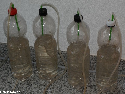 Artima-Reaktoren aus Pet