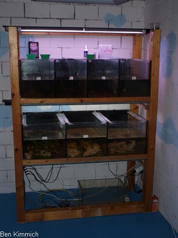 Stand 21.8.11