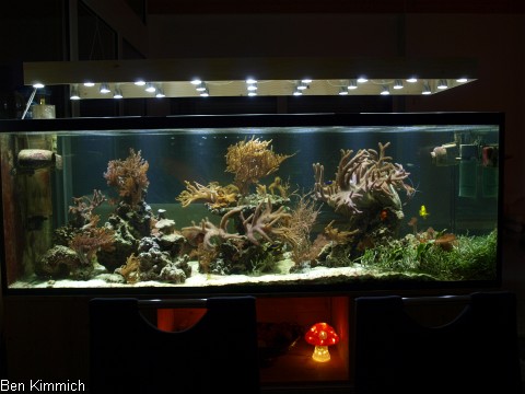 Stand 02.12.11